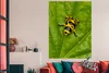 MuchoWow® Poster Gelber und schwarzer Frosch auf einem Produktbild-Vorschau 2