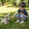 A young boy is playing with a stuffed dog in the grass. Anteprima dell’immagine prodotto