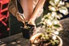 Fiskars 1057641, Gartenkelle, Schwarz, Braun Produktbild-Vorschau 12