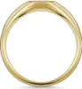 Thomas Sabo TR2314-414-14 Siegelring für Damen goldfarben, Produktbild-Vorschau 2