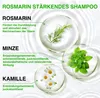 Shampoo Rosmarin Kopfhaut Pflege für Haarwachstum gegen Produktbild-Vorschau 2