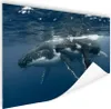 MuchoWow® Poster Bucklige Mutter und Kind schwimmen Produktbild-Vorschau 1