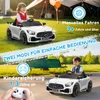 Elektrické autíčko pre deti Mercedes-Benz AMG Gtr, s Náhľad obrázku produktu 10