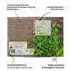 Petersilie Samen glatt - Küchenkräuter Saatgut aus Produktbild-Vorschau 5
