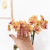 Kolibri Orchids – oranžová orchidej Phalaenopsis – Bolzano Náhled obrázku produktu 6