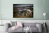 MuchoWow® Poster Schaf - Lamm - Gras 120x80 cm - Bilder Produktbild-Vorschau 5