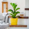 A yellow plant pot with a green plant sits on a wooden step of a staircase, next to a draped blanket. Podgląd zdjęcia produktu