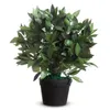 PAPERFLOW PALAU50 Plante artificielle Laurier 50 cm Voir les images du produit 1