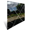 A reflective surface showing a park scene with trees, sky, and a paved path, overlaid with white lines. Anteprima dell’immagine prodotto