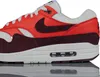 Chaussures Nike Air Max 1 FN6952102 Voir les images du produit 13