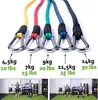Sada s elastickými popruhy, Ryher Sports, maximální Náhled obrázku produktu 3