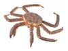 COLLECTA Granchio reale - (XL) Anteprima dell’immagine prodotto 2