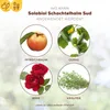 Solabiol Schachtelhalm Sud 1 Liter Produktbild-Vorschau 3
