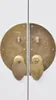 Close-up of two ornate brass handles on white cabinet doors. Anteprima dell’immagine prodotto