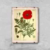 Poster - Canvas - Leinwand - 59,4 cm x 84,1 cm - Fotoposter Produktbild-Vorschau 2