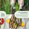 Petersilie Samen glatt - Küchenkräuter Saatgut aus Produktbild-Vorschau 3