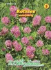 Artikelbild 1 von 'Rotklee' aus der Kategorie Gründünger & -düngung Produktbild-Vorschau