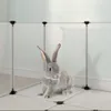 vidaXL Gabbia per piccoli animali trasparente 144x74x46,5 Anteprima dell’immagine prodotto 11
