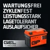Gelová baterie GP-PRO GTX4L-BS, 12 V, 5 Ah, 55 A, Náhled obrázku produktu 7