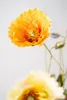 Silk-ka Kunstblume - Seidenblumen-Mohnzweig Orange 74 cm Produktbild-Vorschau 2