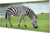 Glasbilder 140x70 Wandkunst Zebra Produktbild-Vorschau 1