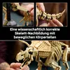 Fósiles de dinosaurio: Triceratops Vista previa de la imagen del producto 18