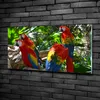 Tulup® Glas-Bild - 100x50 -Wandkunst - Wandbild hinter Produktbild-Vorschau 2