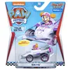 A packaged toy car from the Paw Patrol series, featuring the character Skye. Produktbild-Vorschau