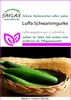 SAFLAX  - Cetriolo spugna di Luffa - 10 semi - Luffa Anteprima dell’immagine prodotto 4