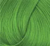 La Richè Directions Spring Green 89 ml Produktbild-Vorschau 19