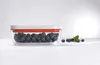 Scatola sottovuoto Zwilling M Fresh & Save Anteprima dell’immagine prodotto 24