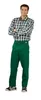 Planam Bundhose BW 270 Gr. 52 grün Produktbild-Vorschau 8