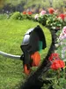 Black & Decker GL9035-QS Freischneider/Kantenschneider 900 Produktbild-Vorschau 8
