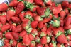 Ponthier ROTE FRÜCHTE PÜREE Frucht-Mark-Püree 2x 1 Kg Produktbild-Vorschau 5