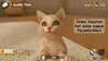 Little Friends: Dogs & Cats - [Nintendo Switch] Produktbild-Vorschau 7