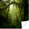 MuchoWow® Poster Grün getöntes Bild des Regenwaldes von Produktbild-Vorschau 1