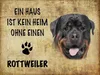 vianmo Holzschild 30x40 cm Rottweiler Hund ohne kein Heim Produktbild-Vorschau 1