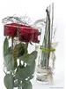 Vase Glas konisch Glasvase Blumenvase 19 cm Produktbild-Vorschau 3