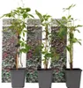 Three potted plants are arranged in front of a decorative panel depicting ivy. Produktbild-Vorschau