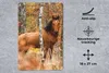 MuchoWow® Mauspad Mousepad Pferd - Wald - Braun 18x27 cm - Produktbild-Vorschau 2