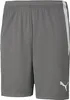 Puma Teamliga Shorts Kinder - Rot Produktbild-Vorschau 11