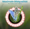 A butterfly is shown in front of a blurred green background, framed by a ring of pink gemstones. Produktbild-Vorschau