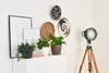 A collection of decorative items and plants on a shelf, with a spotlight in the background. Náhled obrázku produktu