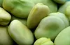 Graines potagères Fève Windsor mi-précoce Voir les images du produit 13