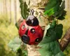 Lampada solare da giardino coccinella decorativa 14,5 cm Anteprima dell’immagine prodotto 12