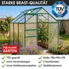 BRAST Gewächshaus Aluminium mit Fundament | 190x190x195cm | Produktbild-Vorschau 8