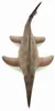 Schleich - Shonisaurus Dinosaurs Náhled obrázku produktu 2