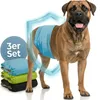 HUND IST KÖNIG Hundewindeln für Rüden [3 Stk], XXL (Taille Produktbild-Vorschau 1