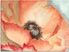 ARTland Leinwandbild Wasserfarben Mohn II Größe: 120x90 cm Produktbild-Vorschau 1