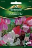 Edelwicken, Old Sweet Scent Produktbild-Vorschau 1